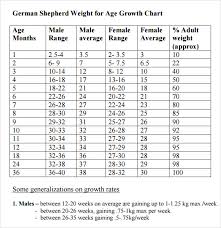 German Shepherd Growth Chart Height Best Picture Of Chart