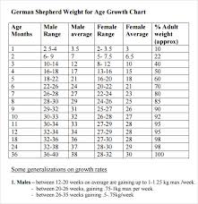 german shepherd growth chart height best picture of chart