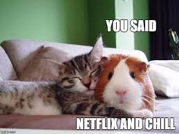 Don't rush into it though, put a movie on, snuggle up and wait for. What Does Netflix And Chill Mean Popsugar Tech