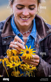 University of sussex from air hi-res stock photography and images