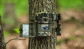 Top Ten Cheap Trail Cameras In 2020 Trail Camera Top Camera Camera World