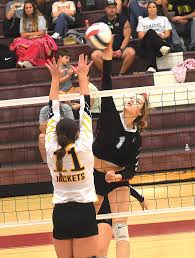 Sardis hitter leads off All-County volleyball team