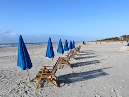 Check spelling or type a new query. 9 Best Things To Do On Hilton Head Island With Photos Trips To Discover