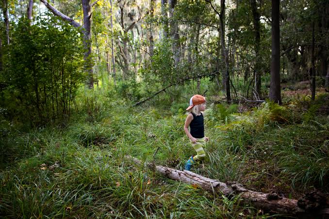 Photo of Kid Walking in a Forest · Free Stock Photo