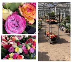 Be one of the first to review. May Garden Startseite Facebook