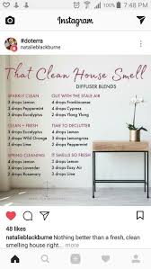 Diy Diffuser Blends To Make At Home Essential Oil Diffuser Recipes Essential Oil Diffuser Blends Essential Oil Recipes