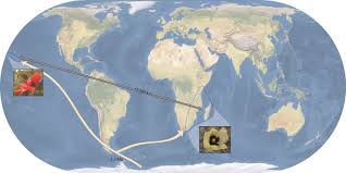 Image result for Gossypioides