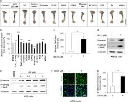 Solved The Presence Of An Epiphyseal Line Indicatesa) | Chegg.Com