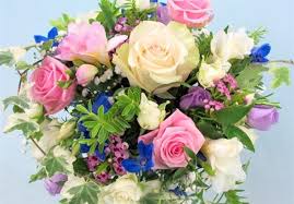 We did not find results for: The Flower Shop Florist Nairn Send Flowers Online Or 01667 454382