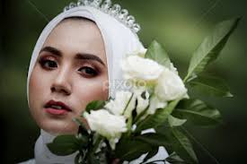 Stock Image Search Results