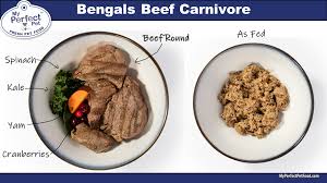 Low phosphorus lamb & rice blend while phosphorus is an essential nutrient, dogs with certain health conditions can benefit from lower levels of phosphorus. Podcast Introducing My Perfect Pet Gently Cooked Fresh Food For Pets With Owner Karen Neola Green Acres Kennel Shop Blog