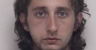 Man faces multiple theft charges