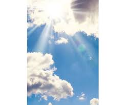 Federico Caicedo Obituary (2024)