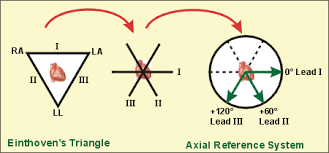 We did not find results for: Cv Physiology Standard Limb Leads Bipolar Physiology Medical Reference Electrode