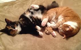 weekend free-for-all - July 20-21, 2019 - Ask a Manager