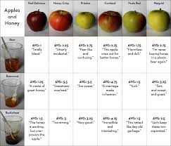 Tablet Magazine Picks The Best Apples And Honey To Help You