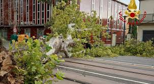 Maltempo in veneto tra le province di vicenza e padova: Maltempo In Veneto Violente Grandinate Albero Cade Sulle Rotaie Del Tram