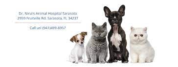Exotic pets mania is the best small animal online store in kanpur. Dr Nina S Animal Hospital Home Facebook