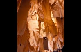 Bildergebnis für Eve Ariza