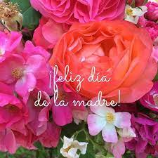 Belice, catar, el salvador, emiratos árabes unidos, guatemala, india, malasia, omán, pakistán, singapur. Feliz Dia De La Madre Its Mothers Day In Mexico So We Wanted To Send Out A Note Of Our Appreciation For The Mamas And Nanas Pima County Dia De