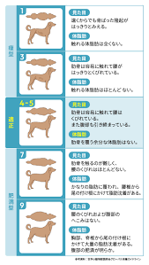 犬 肥満 チェック