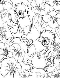 Two Little Toucan Coloring Page Coloring Sun In 2020 Animal Coloring Pages Bird Coloring Pages Coloring Pages