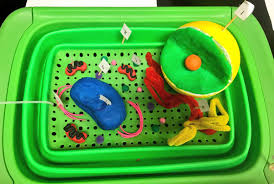 Check spelling or type a new query. Plant Cell Model Using Household Items
