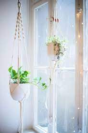 30 Best Diy Macrame Plant Hanger Patterns Diy Macrame Plant Hanger Tutorials Macrame Plant Hanger Tutorial Diy Macrame Plant Hanger