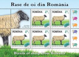 Rase De Oi Din Romania Ilustrate Pe MÄƒrcile PoÈ™tale AgenÈ›ia De PresÄƒ Rador