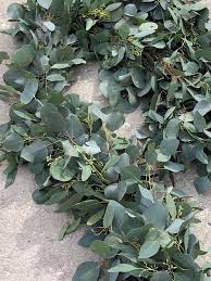 Silver Dollar Seeded Eucalyptus Wedding Combo Greenery Wedding Decor Unique Wedding Flowers Wedding Ceremony Decorations Outdoor