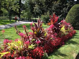 Boston Public Garden Fall 2014 Flower Beds Pinterest Autumn Garden Boston Public Garden Public Garden