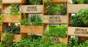Nz Edible Garden Show Hastings Eventfinda Edible Garden Garden Projects Plants