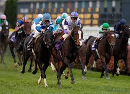 Breeders Cup Winner Red Rocks Dies Tdn Thoroughbred Daily News Horse Racing News Results And Video Thoroughbred Breeding Breeders Cup Red Rock Horses