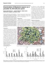 Image result for Blepharis diversispina