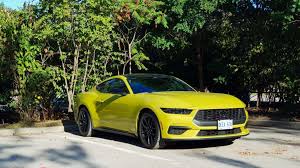 Image result for Dark Yellow Green 2025 Ford