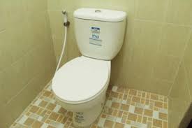 Sebenarnya ini adalah tempat khusus kloset.yang mungkin masih satu lokasi dengan kamar mandi. 25 Desain Kamar Mandi Toilet Duduk Background Sipeti