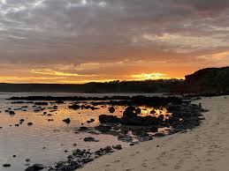 Phillip Island Weather A Temperate Climate Phillips Island Island Southern Beach
