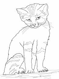 Free Printable Cat Coloring Pages For Kids Cat Coloring Page Cat Printable Kitten Coloring Book