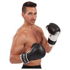 Bruce Lee Boxing Gloves Allround 8 Oz Pair Buy Online Sport Tec