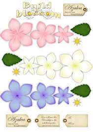 Baileigh31 S Image Flower Printable Paper Flower Template Flower Crafts