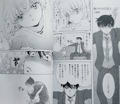 ☆名探偵コナン同人誌☆コナン×灰原哀☆コ哀☆