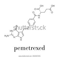 Image result for Pemetrexed