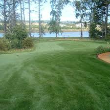 Check spelling or type a new query. Fescue Lawn Grass Seed Information Page