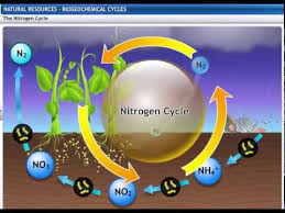 Maybe you would like to learn more about one of these? Cbse Class 9 Science Natural Resources 2 Biogeochemical Cycles Natural Resources Ways Of Learning Resources