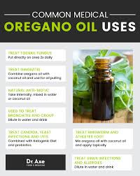 Oregano Oil Benefits For Infections Fungus More Dr Axe Oregano Oil Benefits Oregano Oil Oregano