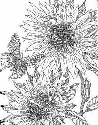 Free Printable Sunflower Coloring Pages Check More At Http Coloringareas Com 7402 Free Printabl Sunflower Coloring Pages Coloring Pages Flower Coloring Pages