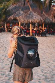 Cat backpack carrier, cute cat backpack, clear cat backpack, the traveler cat backpack, backpack for cats to wear, fat cat backpack, cat backpack bubble. Fat Cat Backpack Review A True Traveler S Cat Backpack Fluffy Kitty