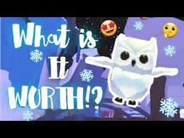 Snowy owl adopt owlgirl (bubo scandiacus) by serweit. What Is A Snow Owl Worth In Adopt Me Roblox Adopt Me Trading Youtube
