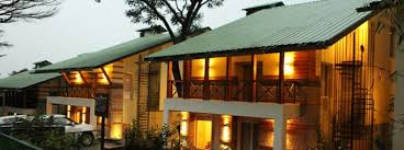 How Hotel In Palampur And Dharamshala Important To Tourists Hotels And Resorts Dharamshala Green Resort