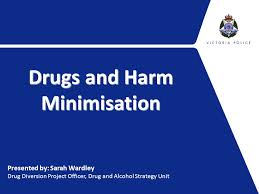 Image result for drug harm minimisation